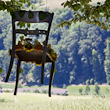 Kunst im Wald Maisprach 2011: Elke Höyläe-Vogt  mit Stuhlreihe Sitzen-Gelassen